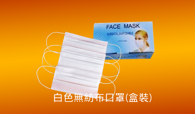Non-woven mask (White/boxed)