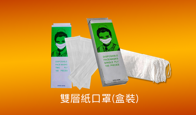 Double-layer paper mask (boxed)