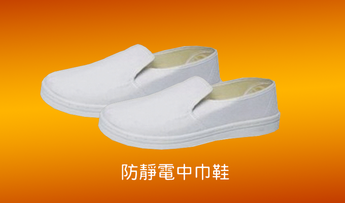 Anti-static shoes